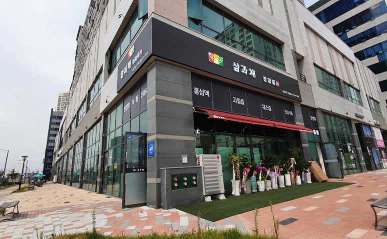 삼과채 이미지