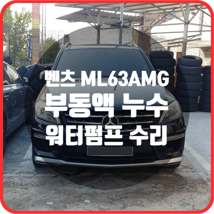 아우토부스 이미지
