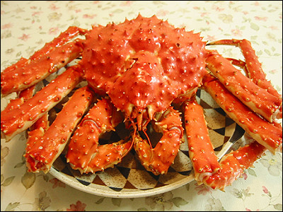 스타일피트 이미지