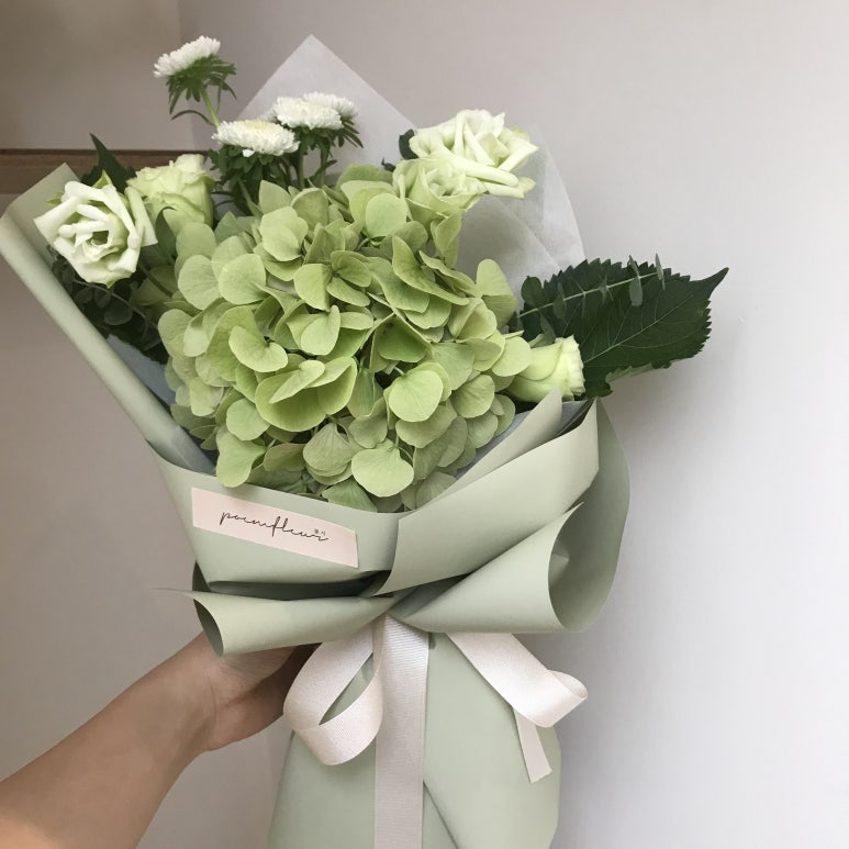 포엠플레르 이미지