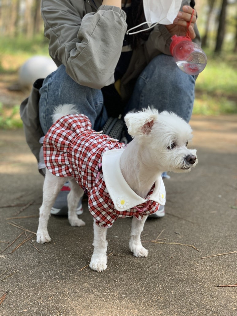 하동낙지집 이미지