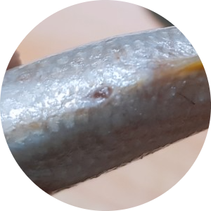 덕포수산 이미지