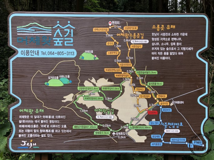 섬앤썸 이미지
