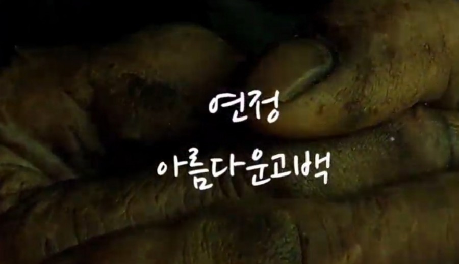 연정라이브 이미지