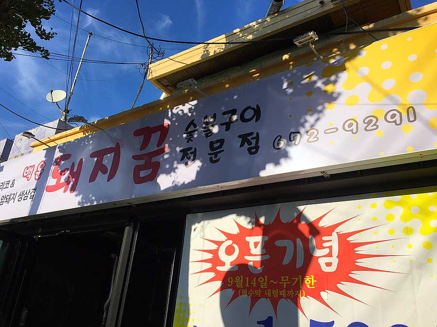 백운돼지꿈 이미지