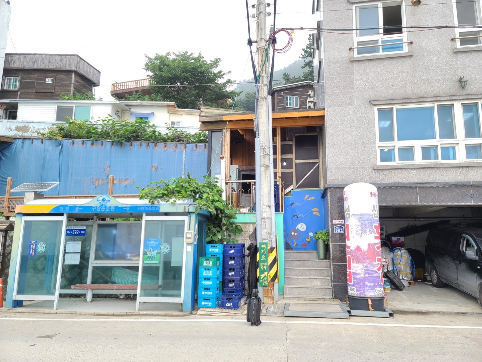 울릉도 물회 횟집 이미지