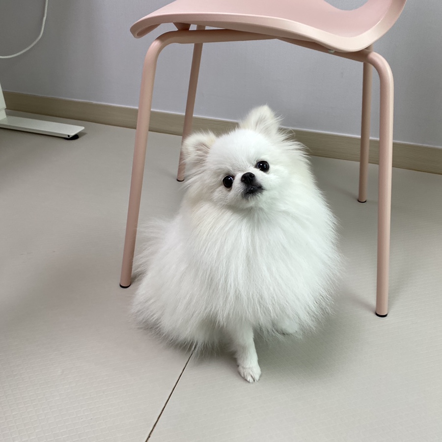 디자인서석 이미지