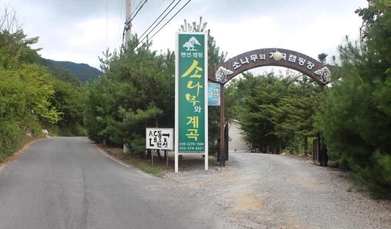 소나무와 계곡 캠핑장 이미지
