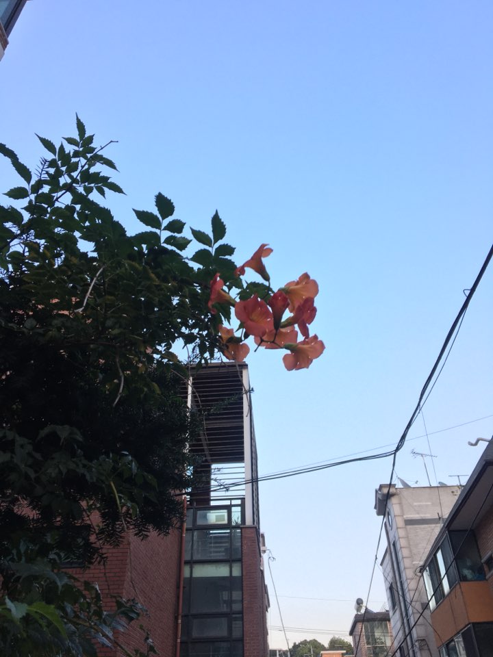 가양생필품 이미지