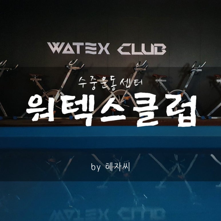 워텍스클럽 이미지