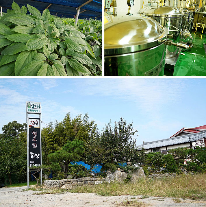 동성인삼식품 이미지