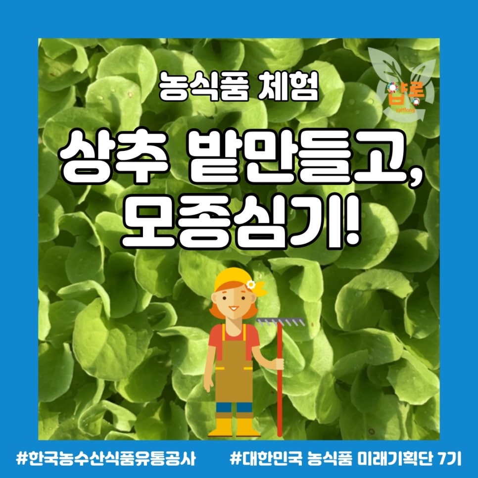 초정공동체 이미지