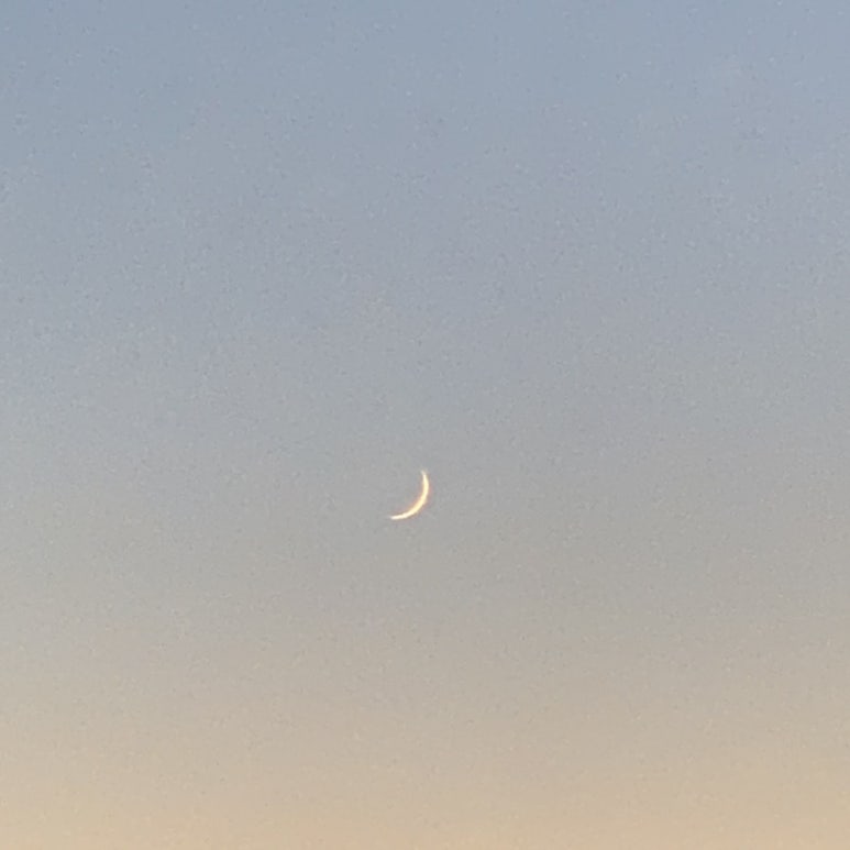 내고향막국수 이미지