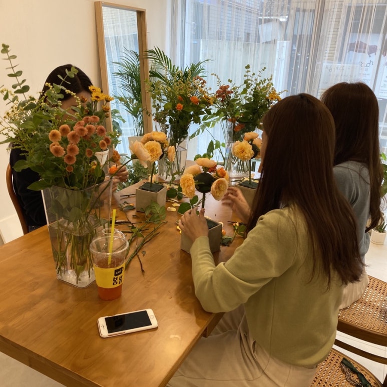 레몬트리플라워 이미지