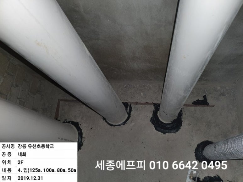D실 이미지