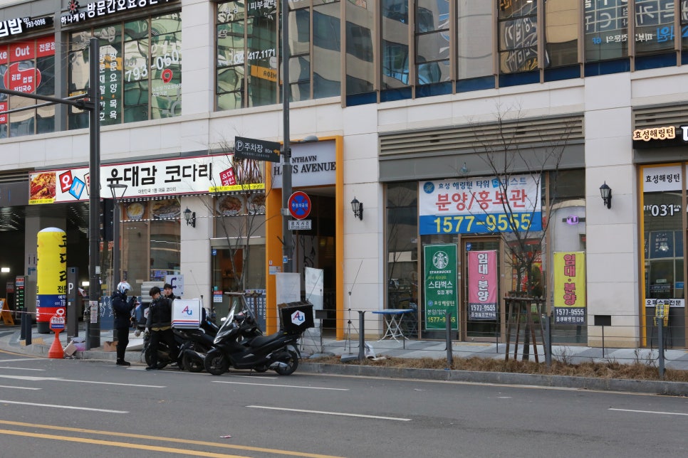 진심코다리 이미지
