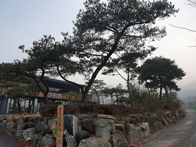 선일목장 이미지