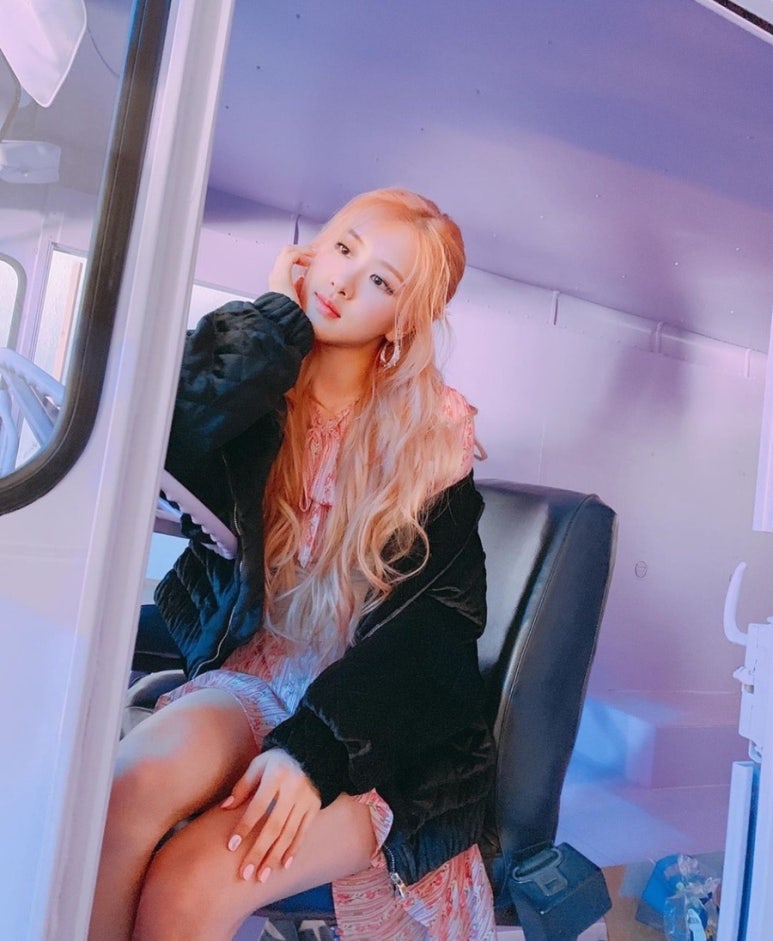 로제12 이미지