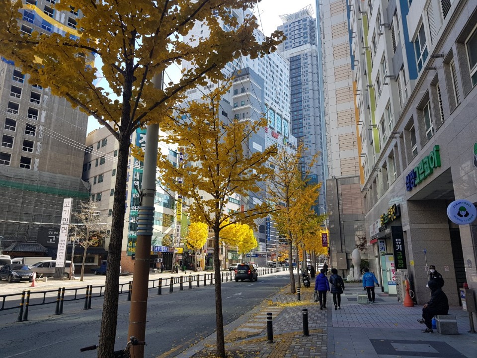 크린토피아동래점 이미지