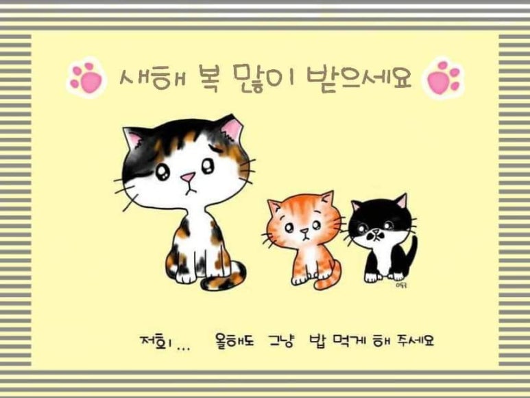 냥토피아 이미지