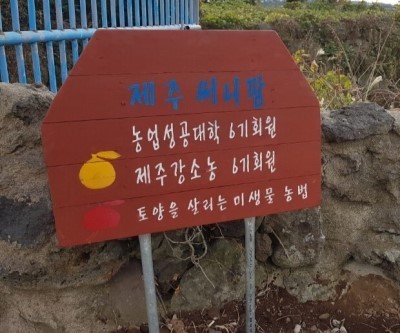 제주써니 이미지
