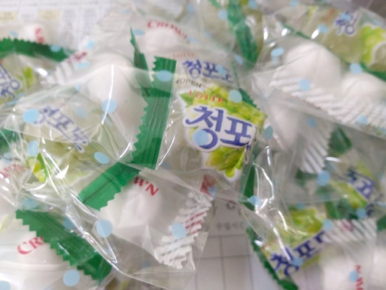 새미래요양원 이미지