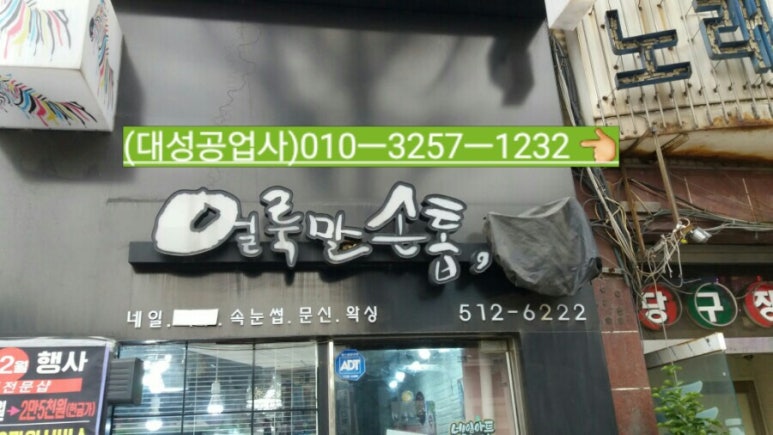 얼룩말손톱 이미지