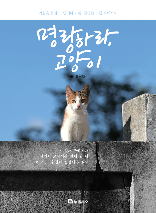 TEXTURE(텍스쳐) 이미지