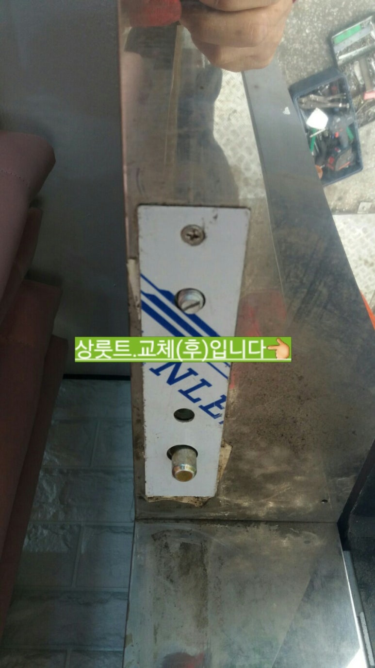 얼룩말손톱 이미지
