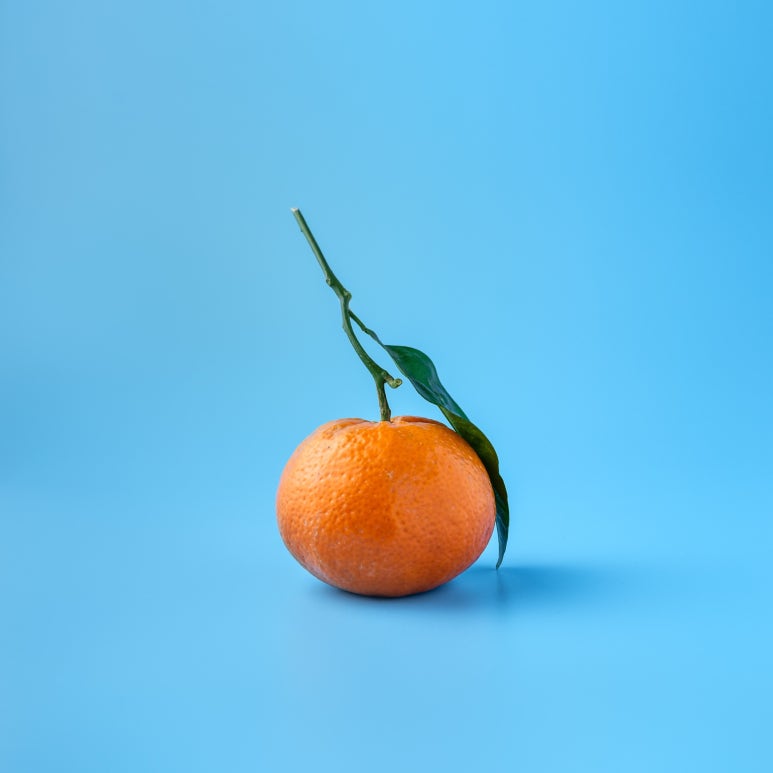 과일24 이미지