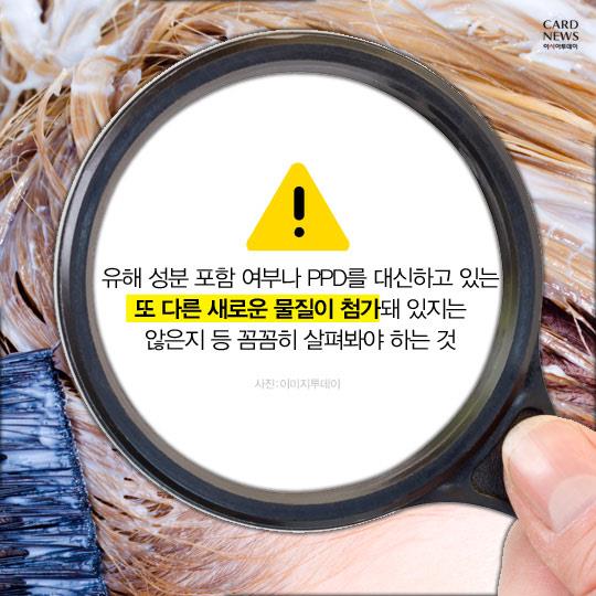 염색팡팡 이미지