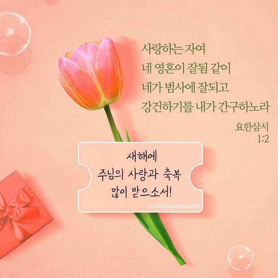 강릉청소 이미지