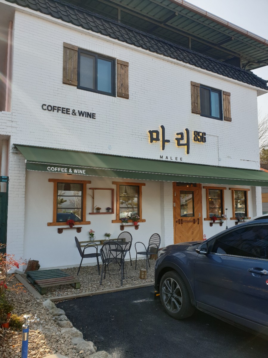 마리856 이미지