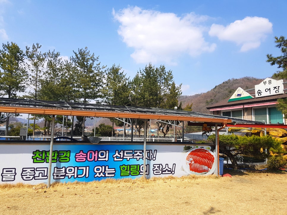 부흥횟집 이미지