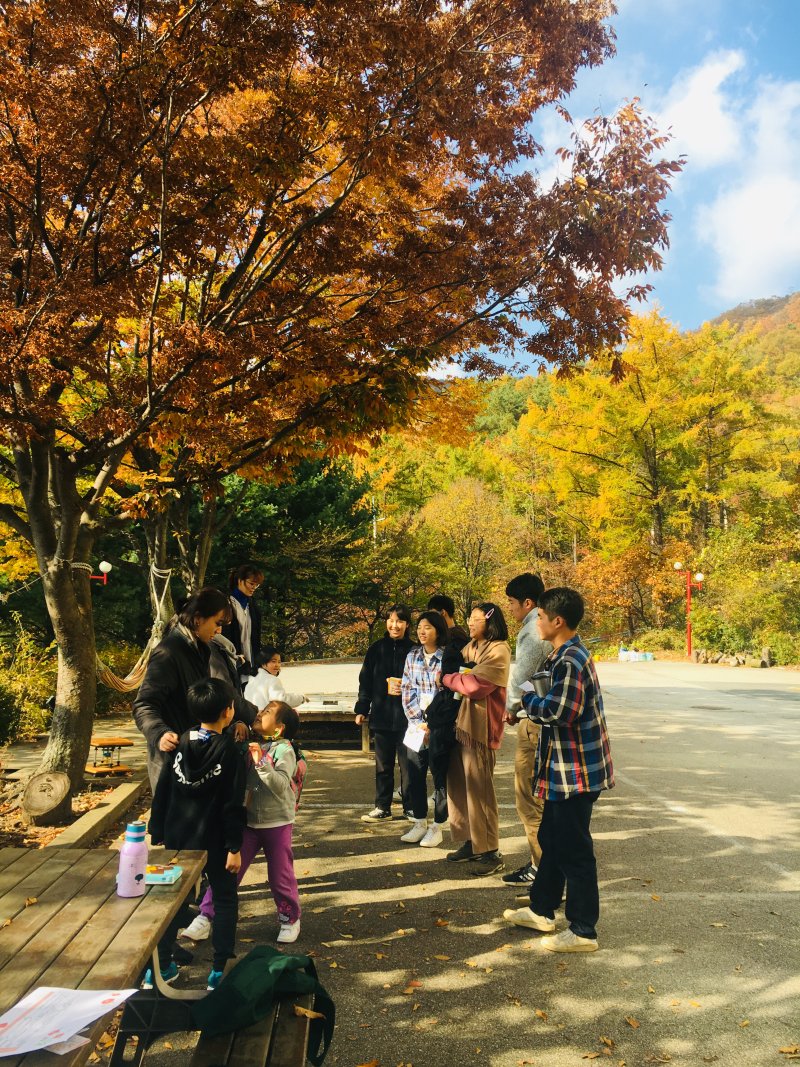 이레 이미지