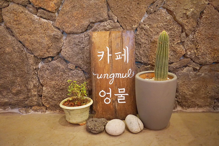 플레이스엉물 이미지