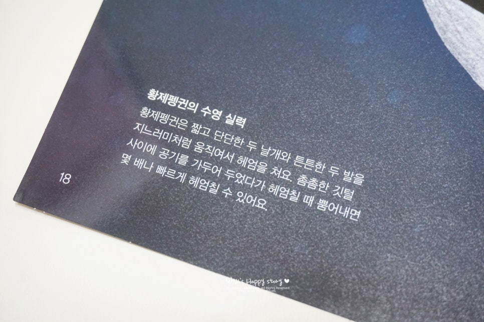 실감북스 이미지