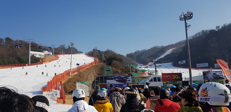 스타벅스비발디파크점 이미지