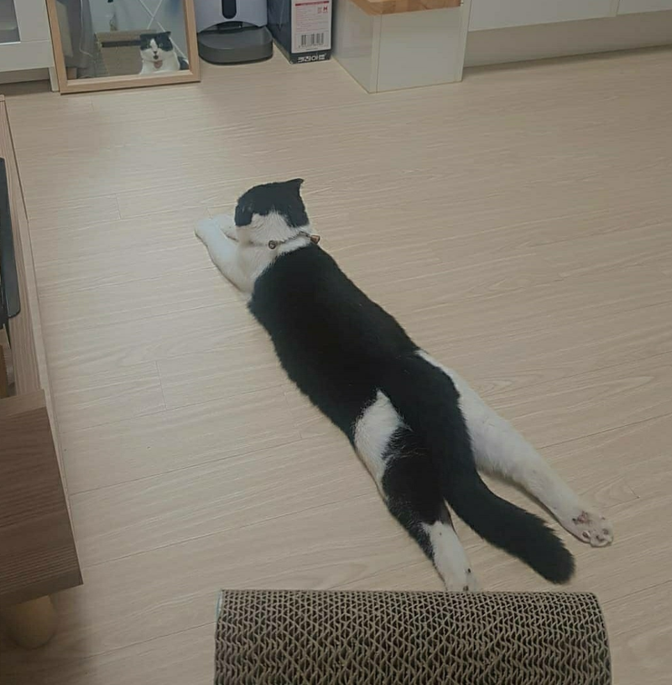 (주)아콩 이미지