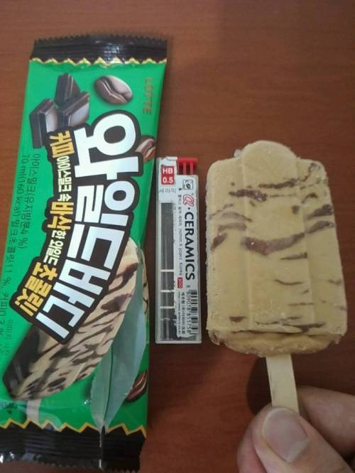 와일드바디 이미지
