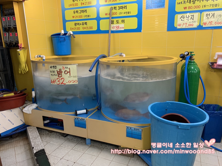 광어1마리 18000 이미지