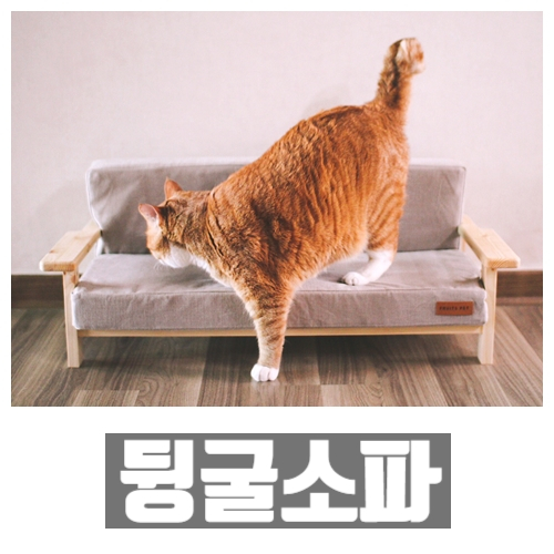 얼웨이즈데어 이미지