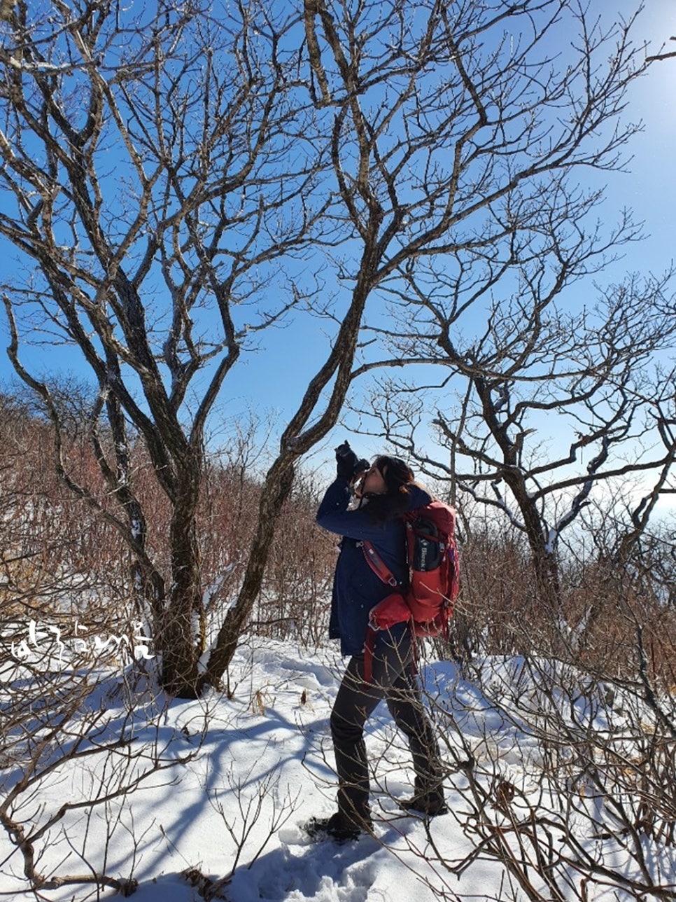 바람내음 이미지
