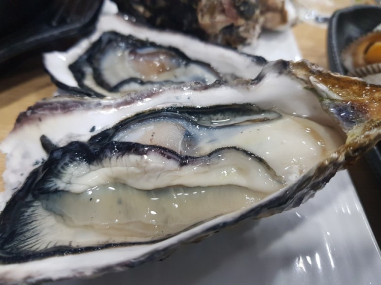 바락세꼬시 이미지