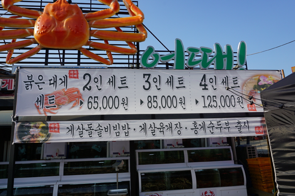 대게어때 이미지