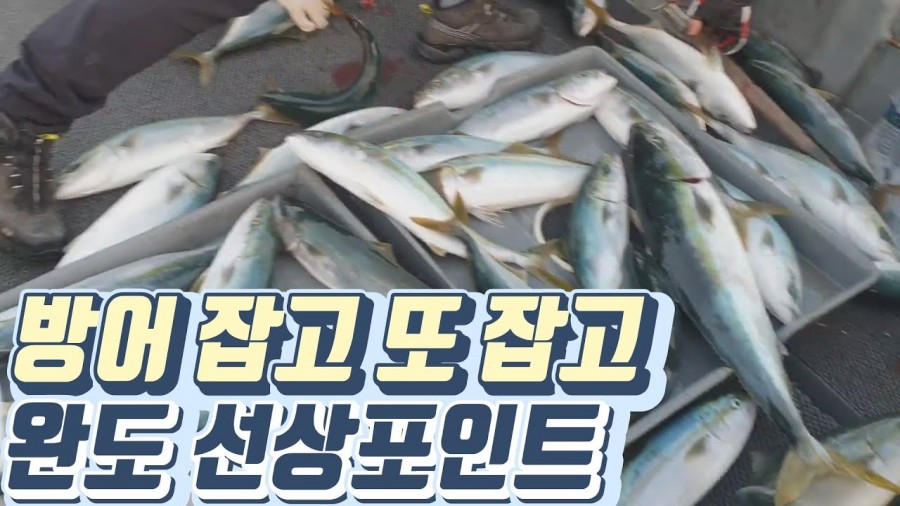 엠제이티 이미지