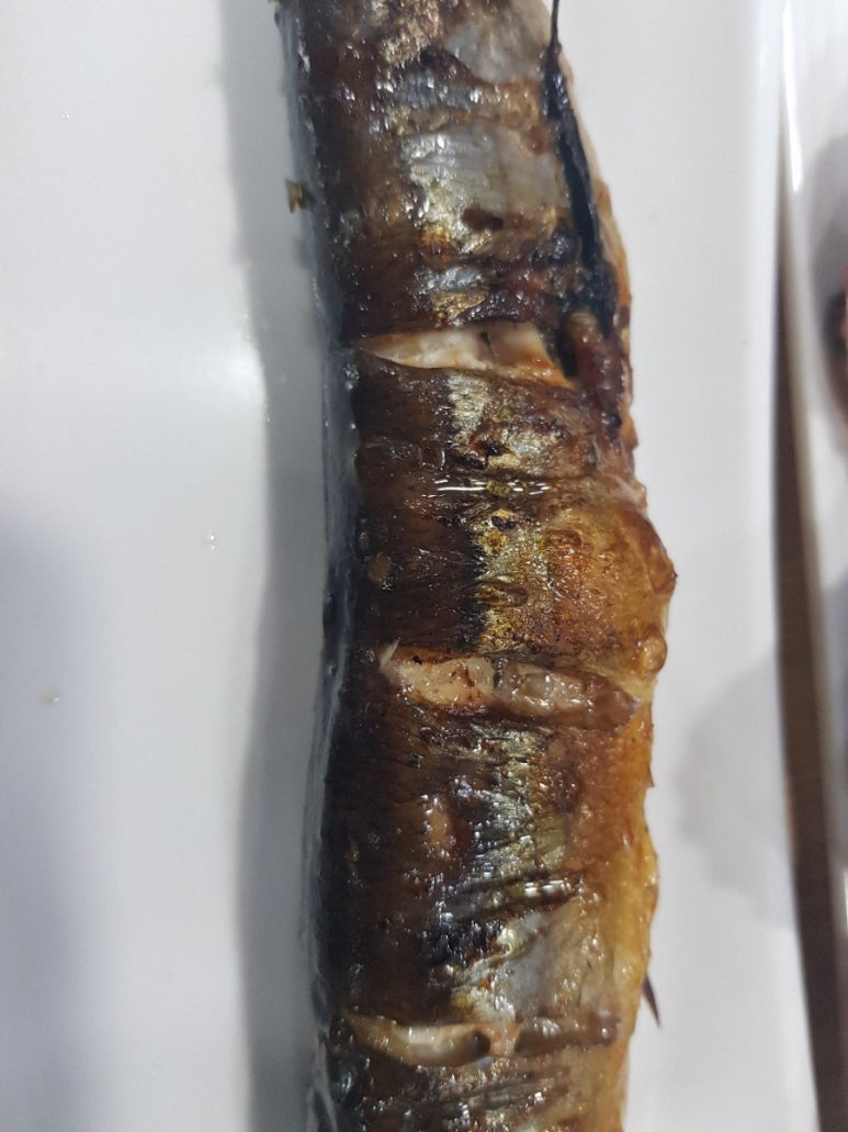 바락세꼬시 이미지