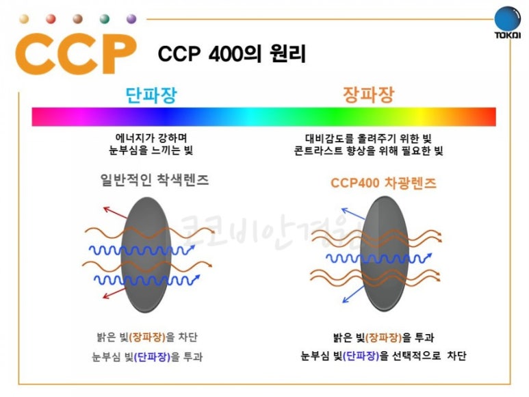 씨씨피 이미지