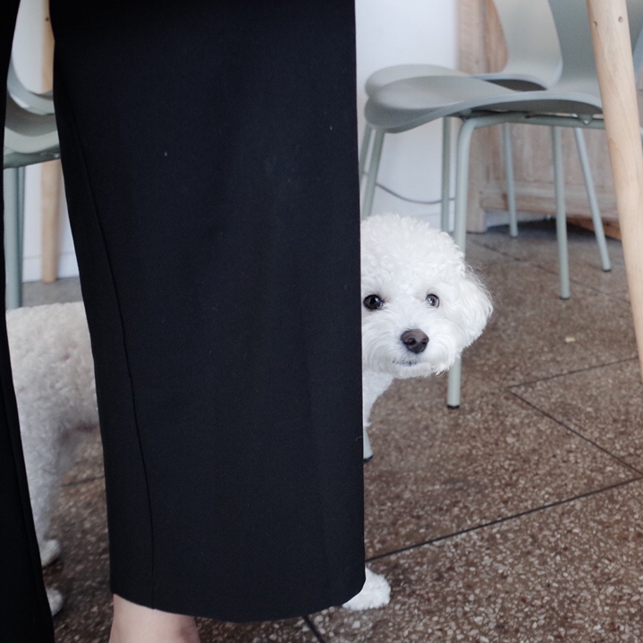 정희의식탁 이미지