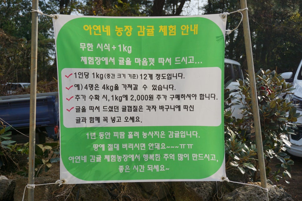 아연네감귤체험농장 이미지